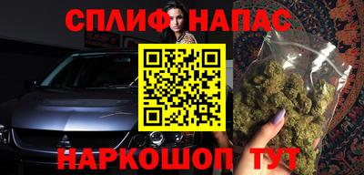 прущие грибы Нальчик