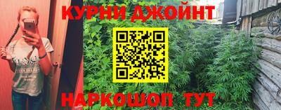 сатива Наро-Фоминск