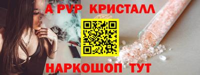 прущие грибы Нальчик