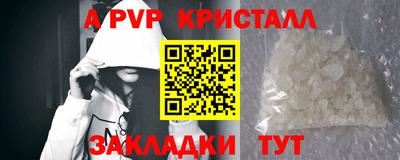 прущие грибы Нальчик