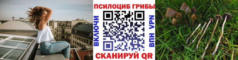 Галлюциногенные грибы Cubensis MEGA сайт Шали
