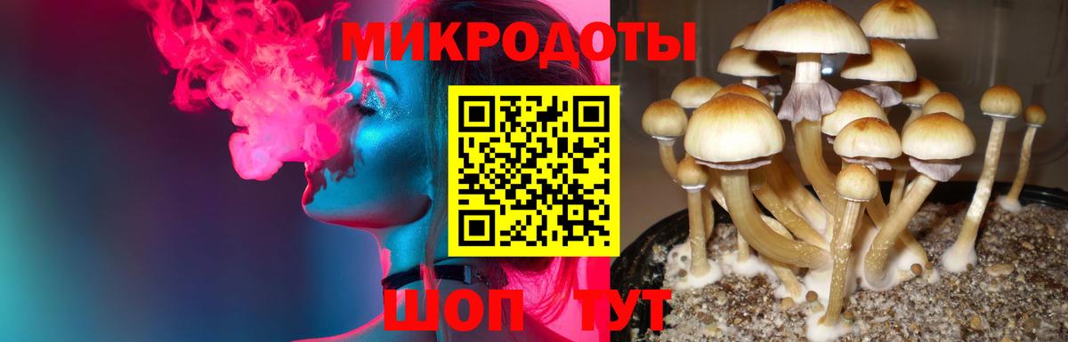 Шали  Галлюциногенные грибы MAGIC MUSHROOMS  Вход с VPN 